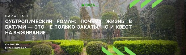 СУБТРОПИЧЕСКИЙ РОМАН: ПОЧЕМУ ЖИЗНЬ В БАТУМИ — ЭТО НЕ ТОЛЬКО ЗАКАТЫ, НО И КВЕСТ НА ВЫЖИВАНИЕ