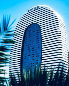 Студия Alliance Palace, Батуми — Сту комн.