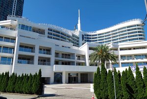 Продается 317 м2 без отделки элитном ЖК PALM APARTMENTS, Батуми — 4+ комн.