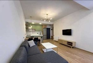 1+1 в комплексе Apex Lisi complex, Тбилиси — 1+1 комн.