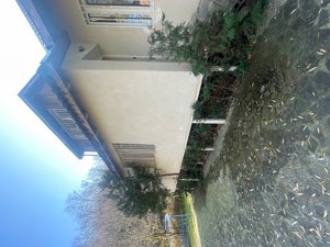 House for Sale in Tskneti, Тбилиси — 4+ комн.