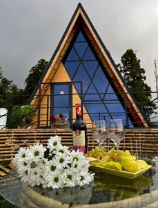 Срочно продаётся земельный участок с готовым бизнесом, Батуми — 4+ комн.