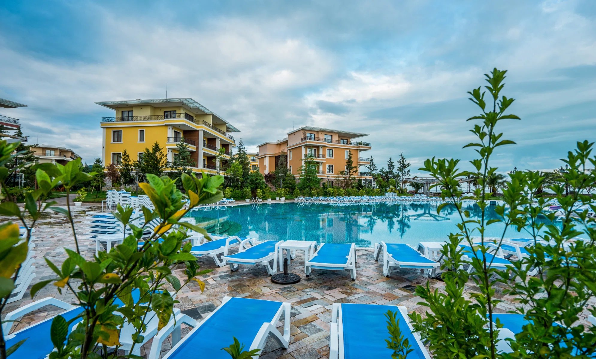 Dreamland Oasis - 3