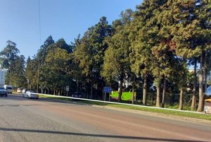 Земельный участок в районе аэропорта, Батуми