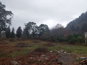 Продаётся земельный участок под коттеджи в Гонио, Батуми